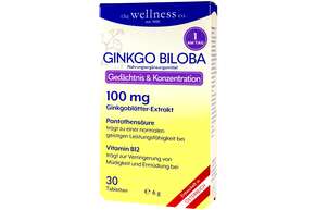 GINKGO BILOBA + B-VITAMINE, A-Nr.: 4899411 - 01
