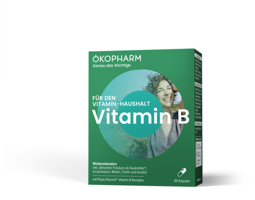 Sie sehen eine Packung Ökopharm® Wirkkombination für den Vitamin-Haushalt Vitamin B Kapseln 60ST, Produktbild: 01 Ökopharm® Wirkkombination für den Vitamin-Haushalt Vitamin B Kapseln 60ST, A-Nr.: 4099248 - 01