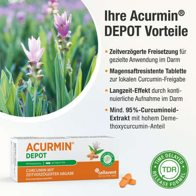Sie sehen eine Packung Acurmin DEPOT – Curcumin mit zeitverzögerter Abgabe – Lokale Freisetzung im Magen-Darm-Bereich, Produktbild: 03 Acurmin DEPOT – Curcumin mit zeitverzögerter Abgabe – Lokale Freisetzung im Magen-Darm-Bereich, A-Nr.: 5895645 - 03