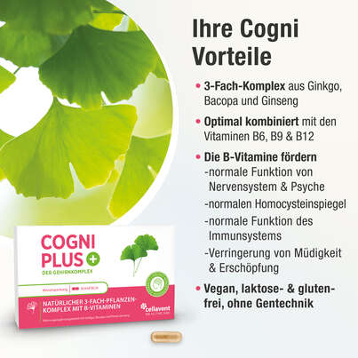 Sie sehen eine Packung Der Gehirnkomplex aus Ginkgo, Bacopa und Panax Ginseng – hochkonzentriert mit B-Vitaminen – 30 Kapseln, Produktbild: 03 Der Gehirnkomplex aus Ginkgo, Bacopa und Panax Ginseng – hochkonzentriert mit B-Vitaminen – 30 Kapseln, A-Nr.: 5895697 - 03