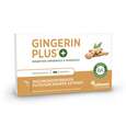Ingwer Kapseln - Bio Ingwer-Extrakt - flüssig - Gingerol &amp; Shogaol hochdosiert, A-Nr.: 5037083 - 01