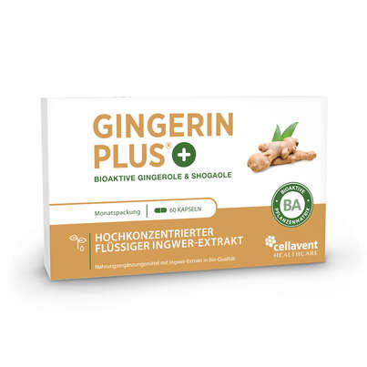 Ingwer Kapseln - Bio Ingwer-Extrakt - flüssig - Gingerol &amp; Shogaol hochdosiert, A-Nr.: 5037083 - 01