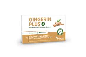 Ingwer Kapseln - Bio Ingwer-Extrakt - flüssig - Gingerol &amp;amp; Shogaol hochdosiert, A-Nr.: 5037083 - 01