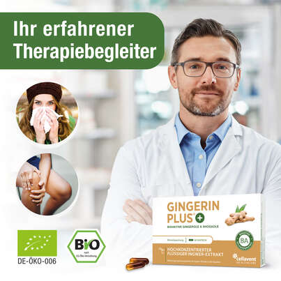 Ingwer Kapseln - Bio Ingwer-Extrakt - flüssig - Gingerol &amp; Shogaol hochdosiert, A-Nr.: 5037083 - 02