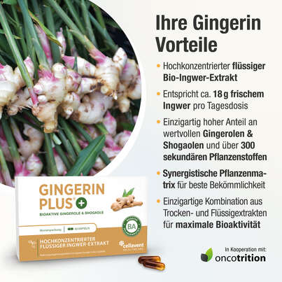 Ingwer Kapseln - Bio Ingwer-Extrakt - flüssig - Gingerol &amp; Shogaol hochdosiert, A-Nr.: 5037083 - 03