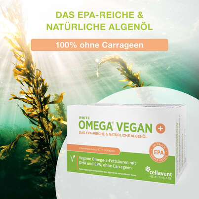 Sie sehen eine Packung Algenöl Kapseln – veganes Omega-3 – ohne Carrageen – 330 mg DHA aus Algen – 90 Mini-Kapseln (1 Monat), Produktbild: 02 Algenöl Kapseln – veganes Omega-3 – ohne Carrageen – 330 mg DHA aus Algen – 90 Mini-Kapseln (1 Monat), A-Nr.: 5895852 - 02