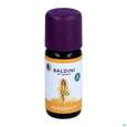 Sie sehen eine Packung Taoasis Baldini Yogaduft 10ml, Produktbild: 01 Taoasis Baldini Yogaduft 10ml, A-Nr.: 4158324 - 01