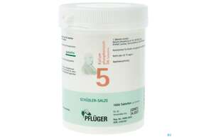 Sie sehen eine Packung Schuess 5 Kal Phos D 6 Pflu 250g, Produktbild: 01 Schuess 5 Kal Phos D 6 Pflu 250g, A-Nr.: 3703707 - 01