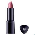 Sie sehen eine Packung Dr. Hauschka Lipstick 02 Mandevilla 4,1g, Produktbild: 11 Dr. Hauschka Lipstick 02 Mandevilla 4,1g, A-Nr.: 4592807 - 11