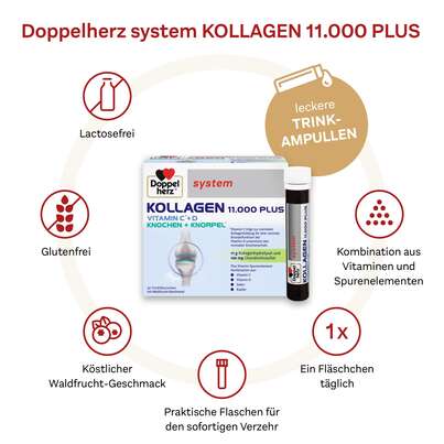 Sie sehen eine Packung Doppelherz system KOLLAGEN 11.000 PLUS, Produktbild: 06 Doppelherz system KOLLAGEN 11.000 PLUS, A-Nr.: 3821192 - 06