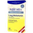 Sie sehen eine Packung Wellness Sleep Well Tabletten, 30 Stück pro Packung, Produktbild: 01 Wellness Sleep Well Tabletten, 30 Stück pro Packung, A-Nr.: 4998024 - 01