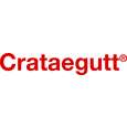 Sie sehen eine Packung Crataegutt® Flüssigkeit zum Einnehmen, Produktbild: 05 Crataegutt® Flüssigkeit zum Einnehmen, A-Nr.: 4210289 - 05