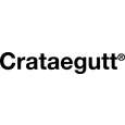 Sie sehen eine Packung Crataegutt® Flüssigkeit zum Einnehmen, Produktbild: 06 Crataegutt® Flüssigkeit zum Einnehmen, A-Nr.: 4210289 - 06