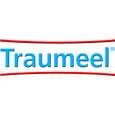 Sie sehen eine Packung Traumeel®-Salbe, Produktbild: 05 Traumeel®-Salbe, A-Nr.: 0928736 - 05