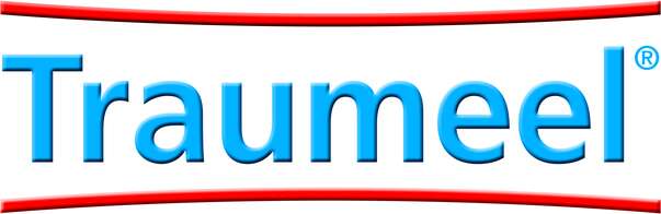 Sie sehen eine Packung Traumeel®-Tabletten, Produktbild: 05 Traumeel®-Tabletten, A-Nr.: 0177141 - 05