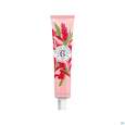 Sie sehen eine Packung Roger & Gallet Gingembre/rouge/wellbeing Hand Cream 30ml, Produktbild: 01 Roger & Gallet Gingembre/rouge/wellbeing Hand Cream 30ml, A-Nr.: 5761933 - 01