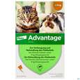 Advantage lösung Z Auftragen Auf D.haut F Katzen U Zierkaninchen 40mg Kl.0,4ml Bis 4kg 4st, A-Nr.: 4472285 - 01