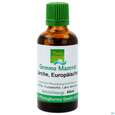 Sie sehen eine Packung Gemmo Mazerat Laerche Europaeische Larix Decidua Phytopharma 50ml, Produktbild: 01 Gemmo Mazerat Laerche Europaeische Larix Decidua Phytopharma 50ml, A-Nr.: 5289790 - 01