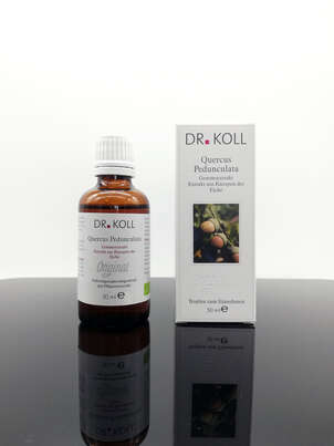 Gemmoextrakt Eiche, A-Nr.: 5238574 - 01