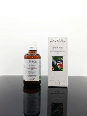 Sie sehen eine Packung Gemmoextrakt Feige, Produktbild: 01 Gemmoextrakt Feige, A-Nr.: 5238522 - 01