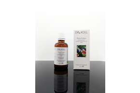 Gemmoextrakt Feige, A-Nr.: 5238522 - 01