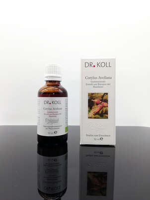 Gemmoextrakt Haselnuss, A-Nr.: 5238516 - 01