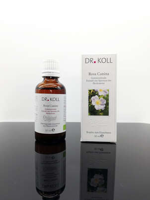 Gemmoextrakt Heckenrose, A-Nr.: 5238597 - 01