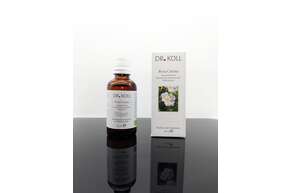 Gemmoextrakt Heckenrose, A-Nr.: 5238597 - 01