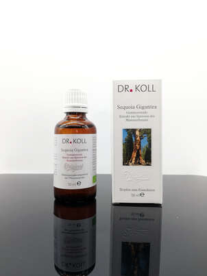 Sie sehen eine Packung Gemmoextrakt Mammutbaum, Produktbild: 01 Gemmoextrakt Mammutbaum, A-Nr.: 5238628 - 01