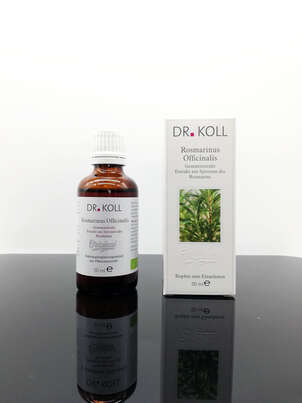 Gemmoextrakt Rosmarin, A-Nr.: 5238605 - 01