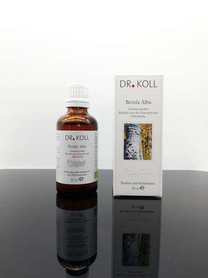 Gemmoextrakt Silberbirke, A-Nr.: 5238485 - 01