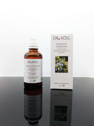 Gemmoextrakt Wacholder, A-Nr.: 5238551 - 01