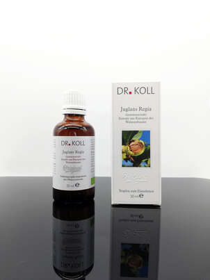 Gemmoextrakt Walnussbaum, A-Nr.: 5238545 - 01