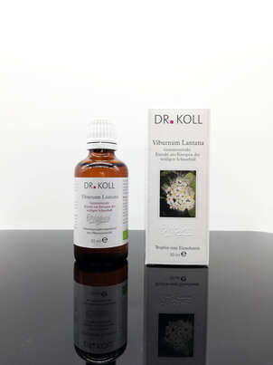 Gemmoextrakt wolliger Schneeball, A-Nr.: 5238663 - 01