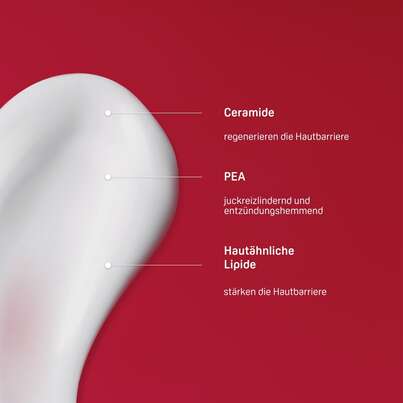 Sie sehen eine Packung PHYSIOGEL® Calming Relief A.I. Body Lotion bei Juckreiz und Rötungen, Produktbild: 03 PHYSIOGEL® Calming Relief A.I. Body Lotion bei Juckreiz und Rötungen, A-Nr.: 3736523 - 03