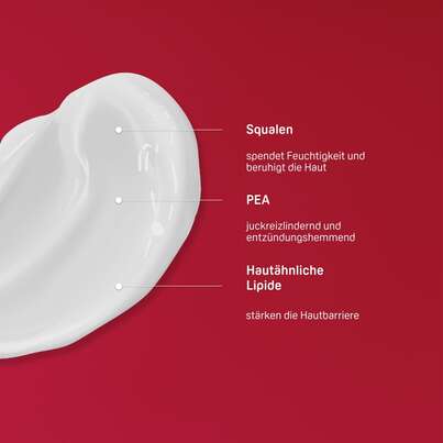 Sie sehen eine Packung PHYSIOGEL® Calming Relief A.I. Creme für irritierte Haut, Produktbild: 03 PHYSIOGEL® Calming Relief A.I. Creme für irritierte Haut, A-Nr.: 2981462 - 03