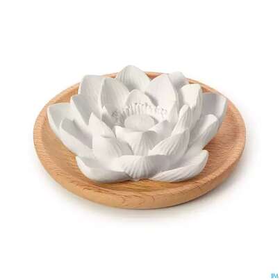 Sie sehen eine Packung Primavera Duftstein Aroma Lotusbluete 1st, Produktbild: 01 Primavera Duftstein Aroma Lotusbluete 1st, A-Nr.: 5477617 - 01