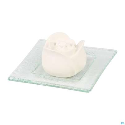 Sie sehen eine Packung Primavera Duftstein Rosenbluete Auf Glasteller Transparent 1st, Produktbild: 03 Primavera Duftstein Rosenbluete Auf Glasteller Transparent 1st, A-Nr.: 3840120 - 03