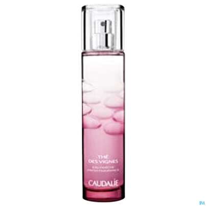 Sie sehen eine Packung Caudalie Eau Fraiche The Des Vignes 100ml, Produktbild: 01 Caudalie Eau Fraiche The Des Vignes 100ml, A-Nr.: 4249305 - 01