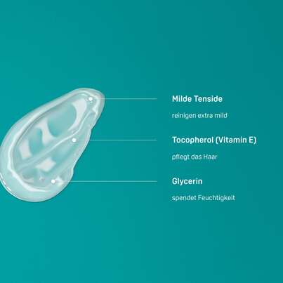 Sie sehen eine Packung PHYSIOGEL® Scalp Care Extra Mildes Shampoo für irritierte und sehr empfindliche Kopfhaut, Produktbild: 03 PHYSIOGEL® Scalp Care Extra Mildes Shampoo für irritierte und sehr empfindliche Kopfhaut, A-Nr.: 5419525 - 03