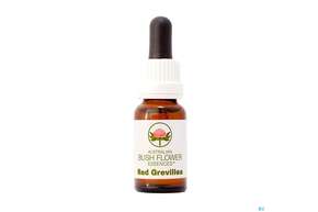 Sie sehen eine Packung Aub Red Grevillea, Produktbild: 01 Aub Red Grevillea, A-Nr.: 2627269 - 01