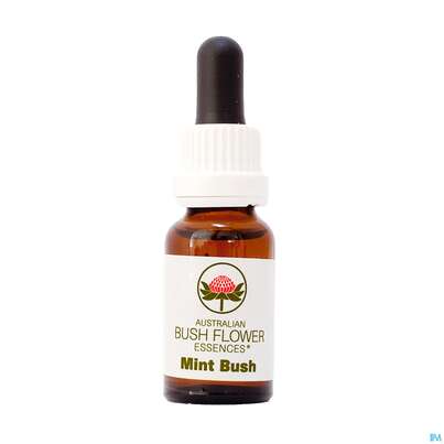 Sie sehen eine Packung Aub Mint Bush, Produktbild: 01 Aub Mint Bush, A-Nr.: 2627163 - 01