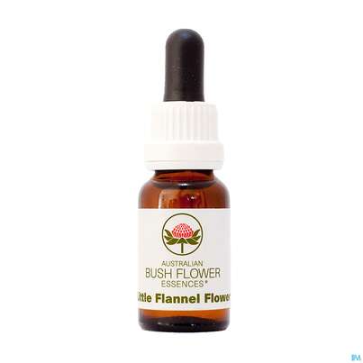 Sie sehen eine Packung Aub Little Flannel Flower, Produktbild: 01 Aub Little Flannel Flower, A-Nr.: 2627140 - 01