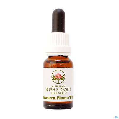 Sie sehen eine Packung Aub Illawarra Flame Tree, Produktbild: 01 Aub Illawarra Flame Tree, A-Nr.: 2627097 - 01