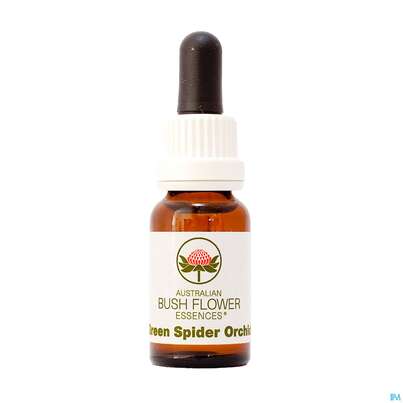 Sie sehen eine Packung Aub Green Spider Orchid, Produktbild: 01 Aub Green Spider Orchid, A-Nr.: 2627051 - 01