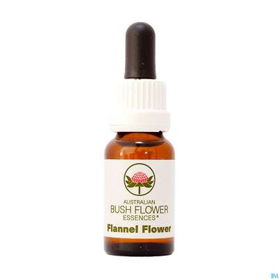 Sie sehen eine Packung Aub Flannel Flower, Produktbild: 01 Aub Flannel Flower, A-Nr.: 2627022 - 01