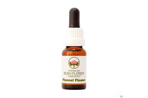 Sie sehen eine Packung Aub Flannel Flower, Produktbild: 01 Aub Flannel Flower, A-Nr.: 2627022 - 01