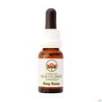 Sie sehen eine Packung Aub Dog Rose, Produktbild: 03 Aub Dog Rose, A-Nr.: 2626985 - 03