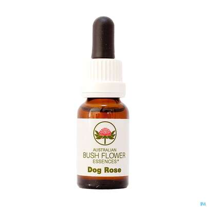 Sie sehen eine Packung Aub Dog Rose, Produktbild: 03 Aub Dog Rose, A-Nr.: 2626985 - 03