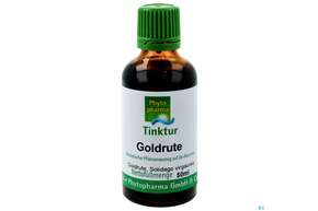 Goldrute Tinktur Phytopharma 50ml, A-Nr.: 3107690 - 01